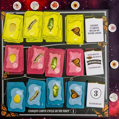 Avis sur le jeu MARIPOSAS carte OBJECTIF 2